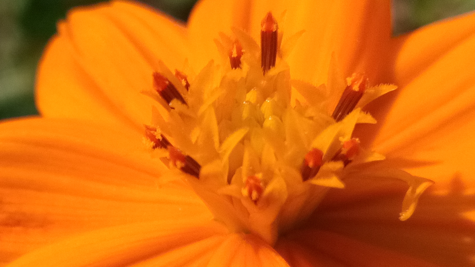 小品牌性价比电动车,酷比max5参数