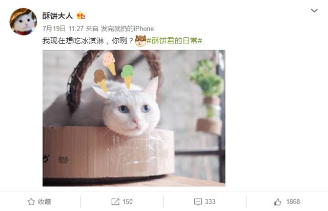 自媒体大事件,网红大v的猫狗