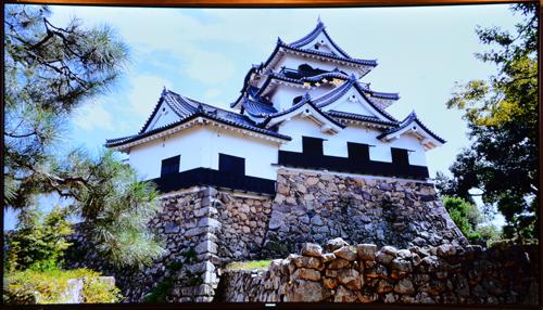 三星65q60z电视最佳效果,三星65ks8800能看直播吗