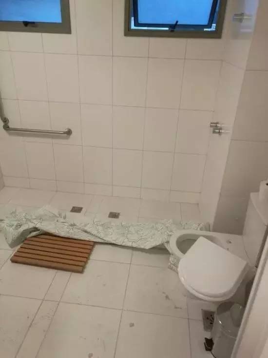 本届巴西奥组委:谁能帮我海淘只熊猫?