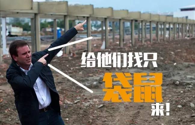 本届巴西奥组委：谁能帮我海淘只熊猫？