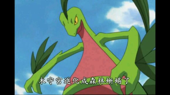 宠物小精灵小智宠物排名,宠物小精灵小智手中最强10只精灵