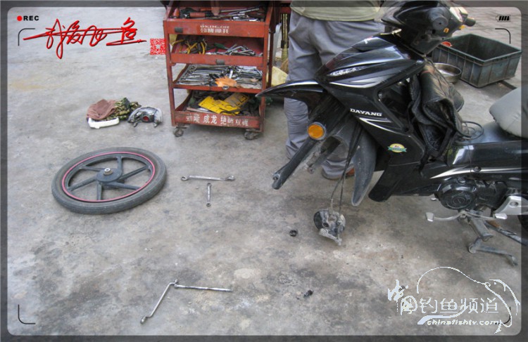 户外野钓小河沟七星鱼,鲫鱼野钓小河沟