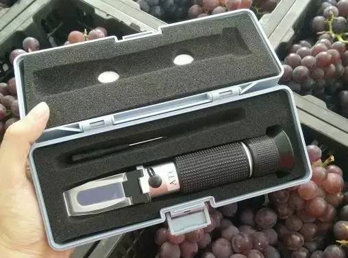 闽北葡萄又一村,教您如何挑选葡萄王