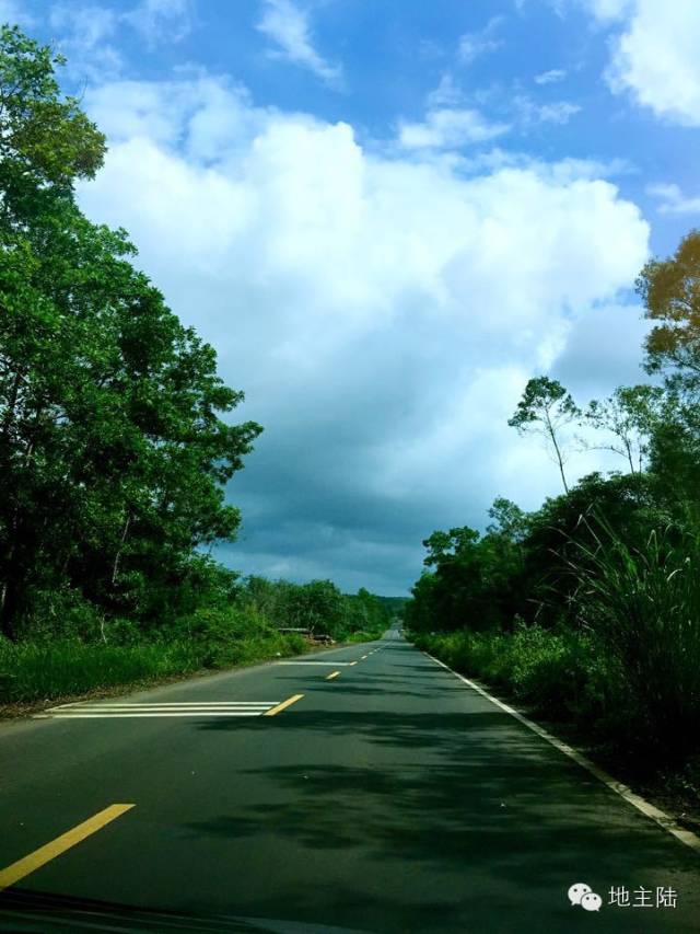 海南吃鸡视频大全集,海南吃鸡游戏大全