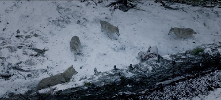 八卦｜最近电视剧总打着“九州”的旗号，那这个“九州”到底是啥？