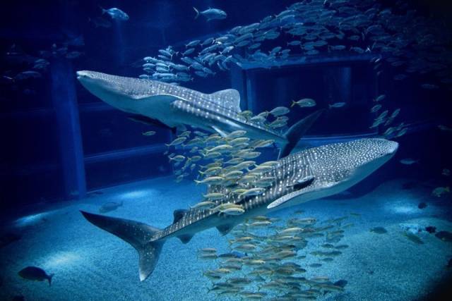 宁波最不好的区是哪个,宁波最落后的三个区