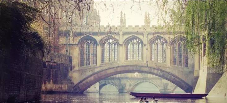 徐志摩经典传奇全集,老张沙龙