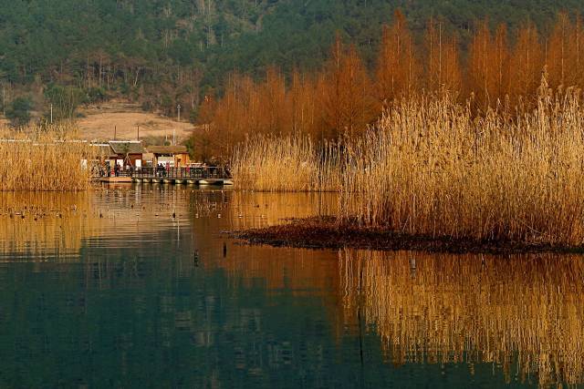 宁波最不好的区是哪个,宁波最落后的三个区