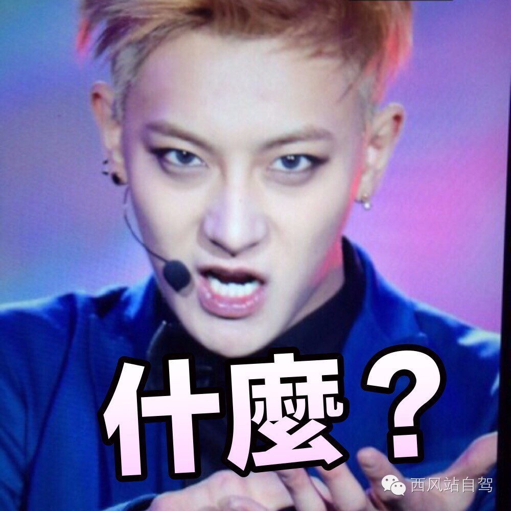 巴林|别只知道迪拜，海湾土豪圈居然藏着个小清新岛国！