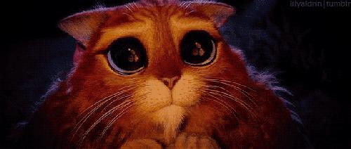 孕妇吃多了会导致婴儿变胖吗,孕妈吃多了宝宝也会撑吗