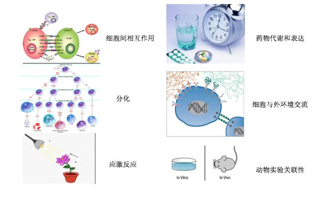 涉及3d打印机的行业,最重视中国市场的公司