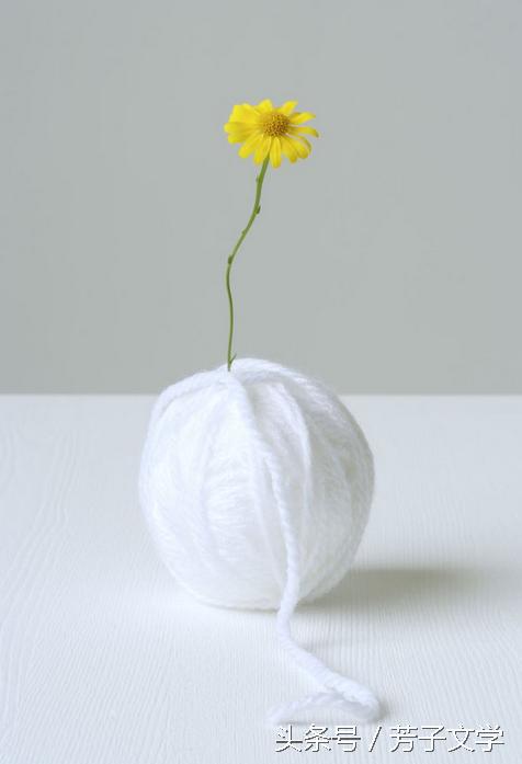 血脂高怎么办倪海厦,血脂高怎么办