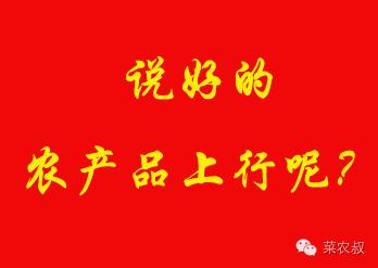 菜农叔：难道农村淘宝的洪荒之力要用完了？