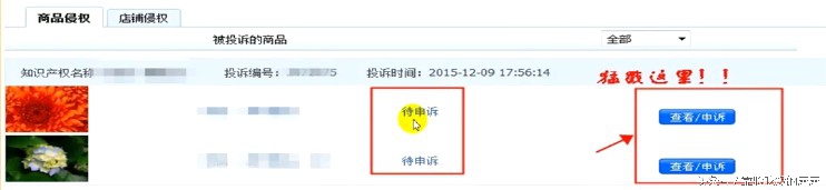 淘宝知识产权怎么申诉才能成功,淘宝知识产权侵权申诉流程