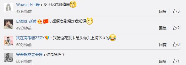 陈赫宠物狗,陈赫晒萌宠照片狗狗名字太霸气