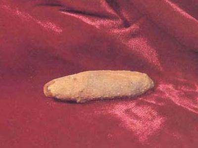 污科技造就好生活