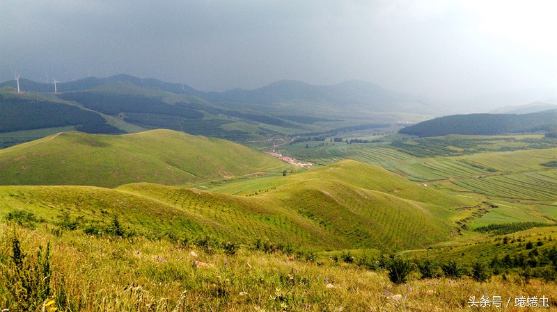 荣耀畅玩5a最大亮点,荣耀畅玩5a自带功能