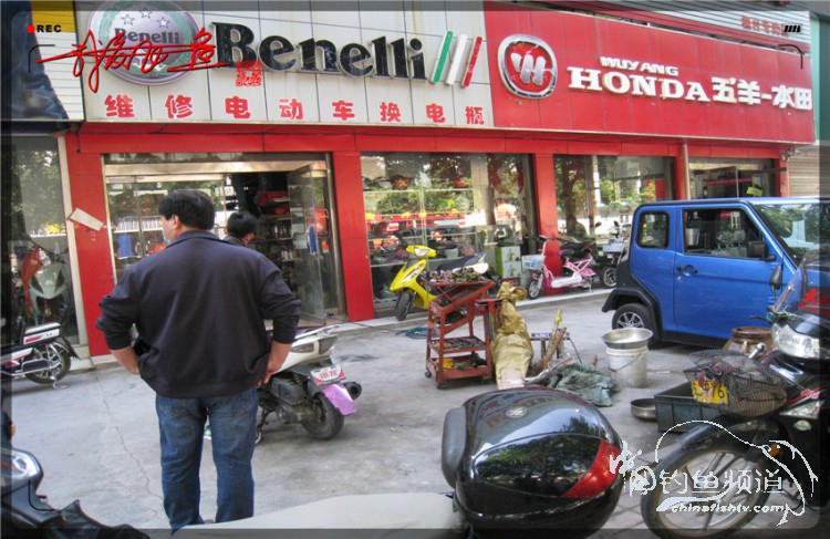 户外野钓小河沟七星鱼,鲫鱼野钓小河沟