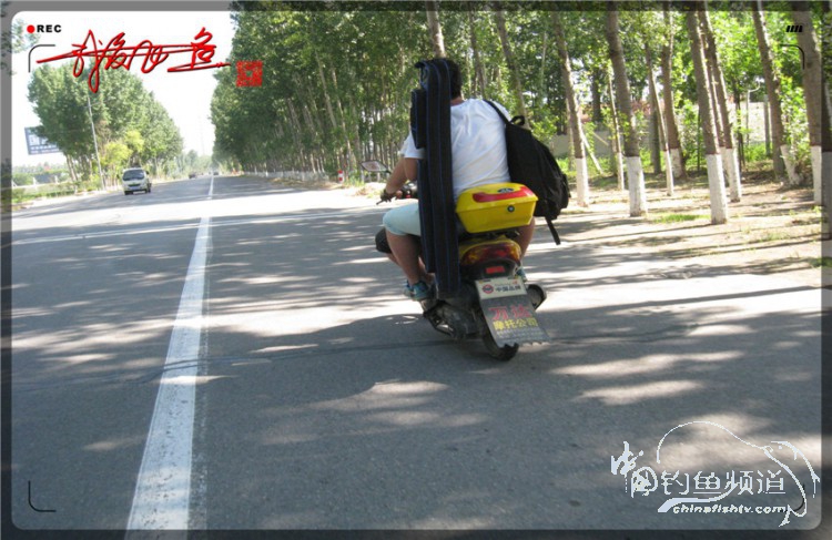 户外野钓小河沟七星鱼,鲫鱼野钓小河沟