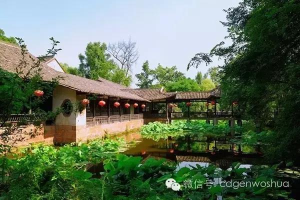 这个暑假值得带孩子去的地方,假期孩子最适合去的地方