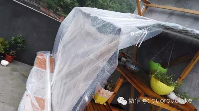 多肉挡雨遮阳布,伸缩挡雨架多肉
