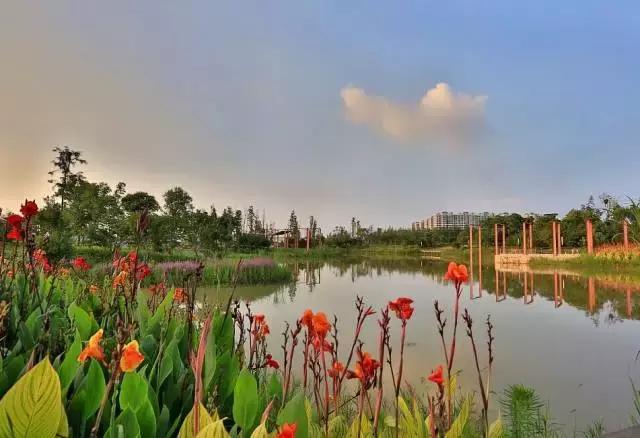 你只听过汉南,却不知道它的传奇!今年的汉南将高不可攀!