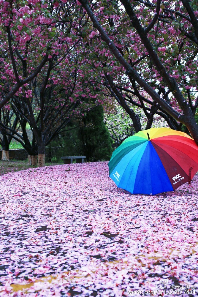 旅顺口哪个地方适合居住,住下来才知道旅顺口有多好