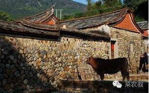 菜农叔：难道农村淘宝的洪荒之力要用完了？