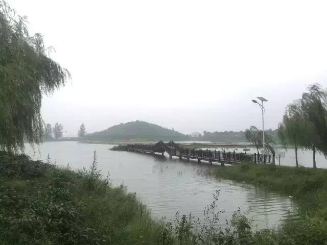 南乐西邵荷花池,南乐县西邵乡荷花池