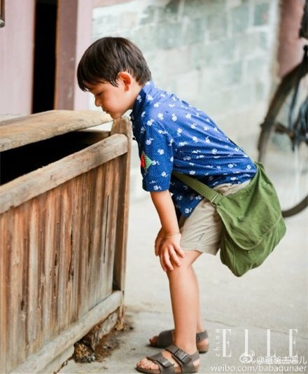 姚晨和小土豆最新消息,姚晨小土豆