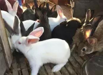 牧云溪谷看房,牧云溪谷看房免费接送