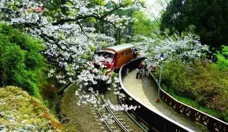 有钱，随性！出国旅游最舍得花钱的城市你知道吗？