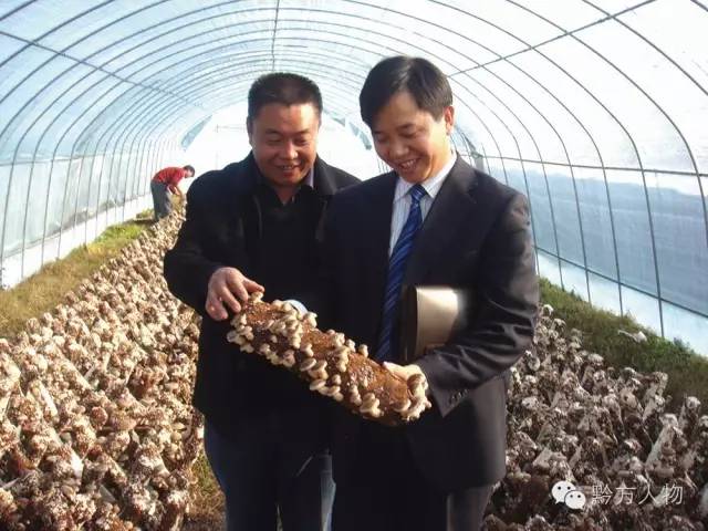 贵州三宝简介,贵州三宝来历