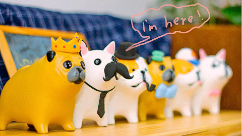 有趣招财狗存钱罐,装饰存钱罐用的装饰品可进可出