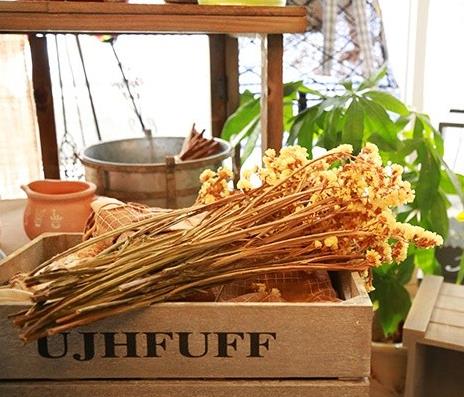 郑州最全的花店,郑州有哪些网红花店