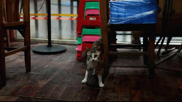 唔使搵啦！人均40元连电视台著名主持人都Hold唔住过来搵食