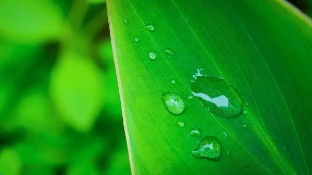 就算吃土也要投资自己,就算吃土也要买车