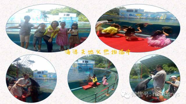 看这里!哇咔咔《南山区形象宣传片》之友情出演篇