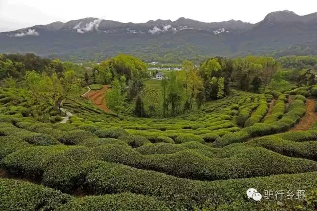 琛屾憚姹変腑,琛屾憚闄曡タ