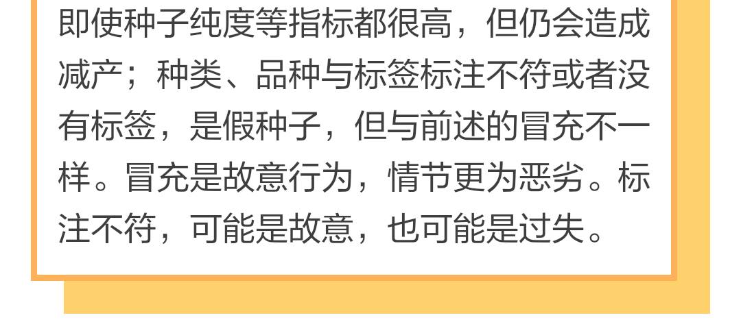 买到假种子向哪部门投诉,买到假种子怎么维权