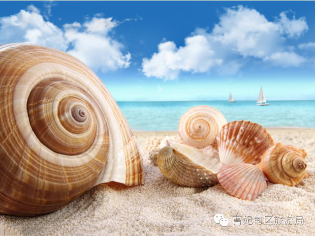 滨海湿地,曹妃甸湿地文化旅游度假区