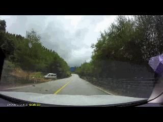 撞牛肇事逃逸要拘留几天,小牛被撞谁的责任