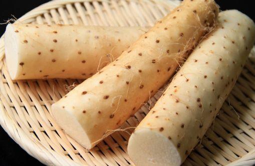 肾虚引起的白发吃补肾药会好吗,肾虚长白发好调理吗