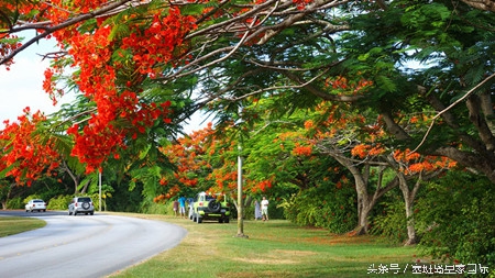 塞班岛自驾跑车游玩攻略,塞班岛自驾游最佳攻略