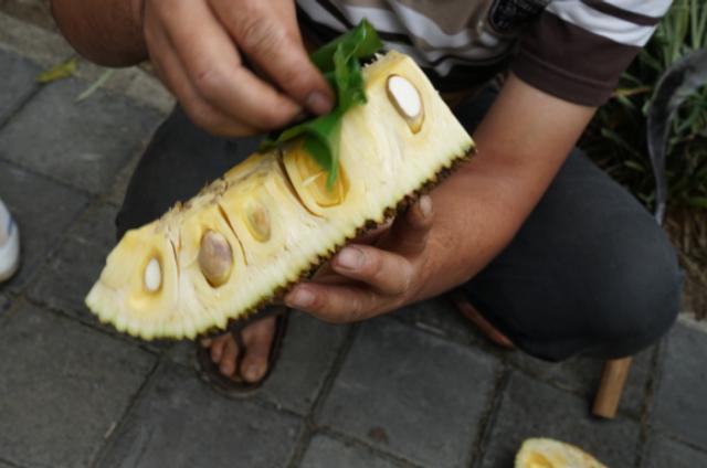 268元可以在巴厘岛landih买多少真正的猫屎咖啡豆?