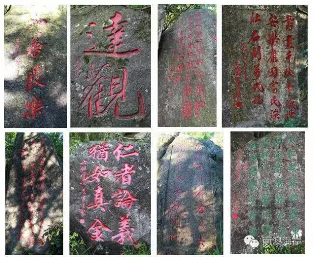 南澳海岛国家森林公园,黄花山------最美天然氧吧