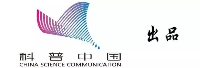 丝瓜太苦,苦的丝瓜有毒千万不要吃