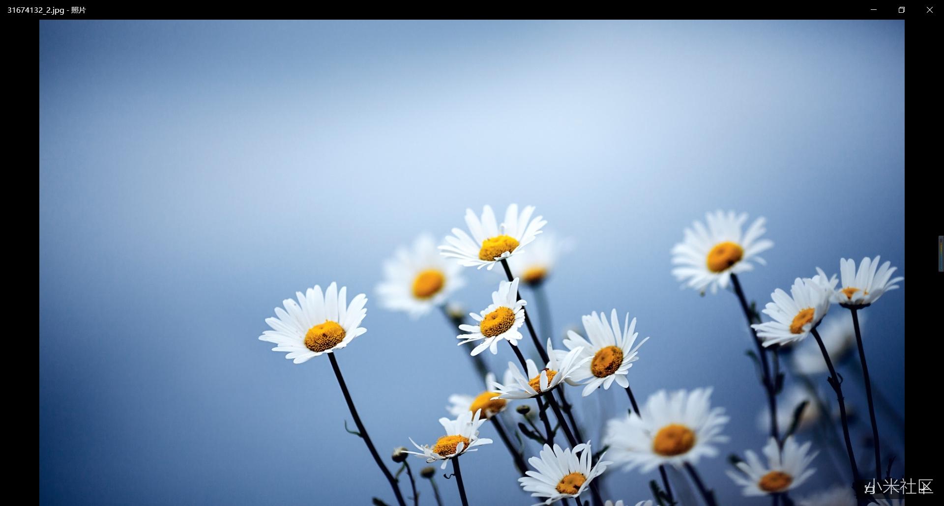 小米笔记本电脑和苹果系统,小米笔记本和苹果macbook