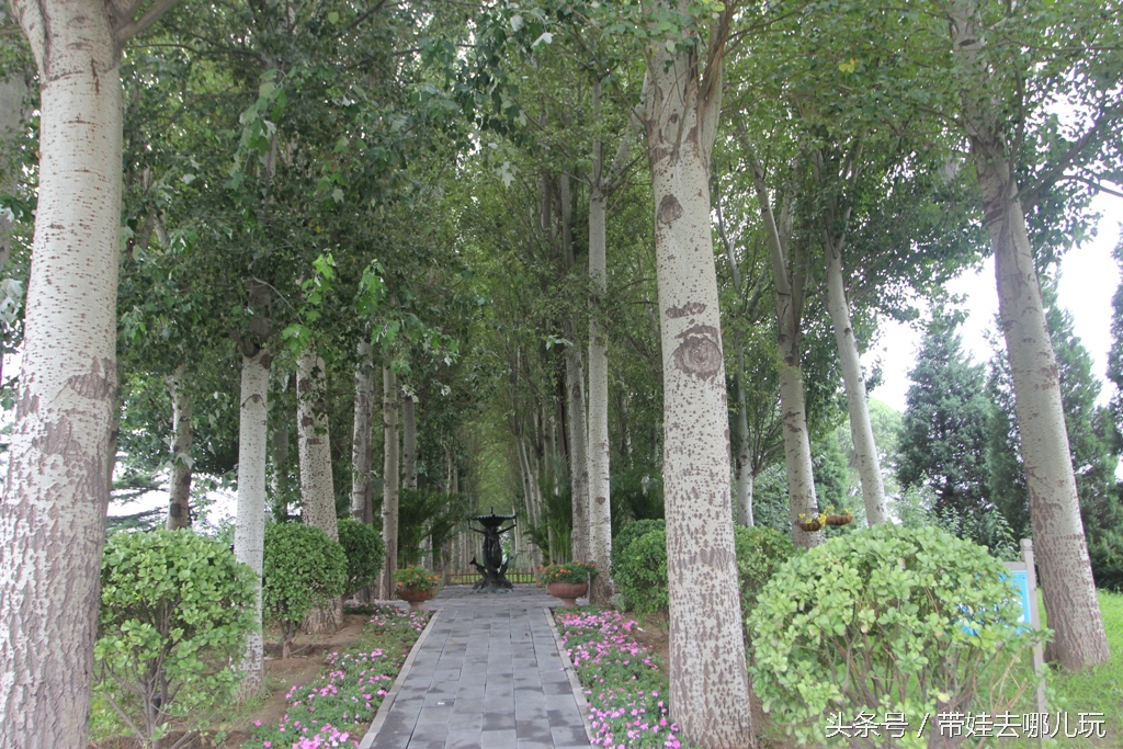 昌平拉斐特城堡,北京昌平拉斐特城堡风光